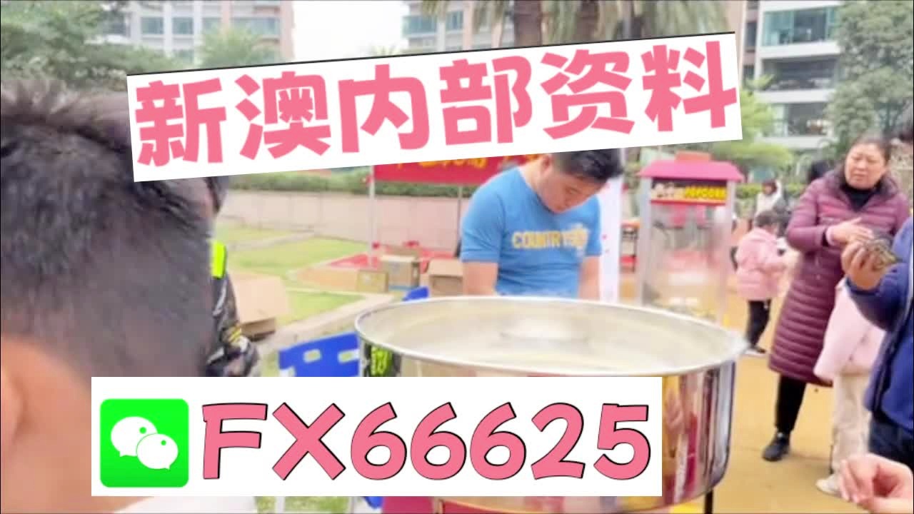 新奧2025正版資料大全，全面解析與深度探索，新奧2025正版資料大全，全面解析與深度探索揭秘