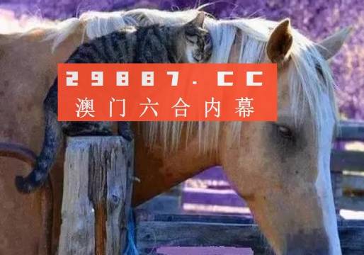 澳門一肖一碼一待一中四不像，探索與解析，澳門一肖一碼一待一中四不像，深度解析與探索