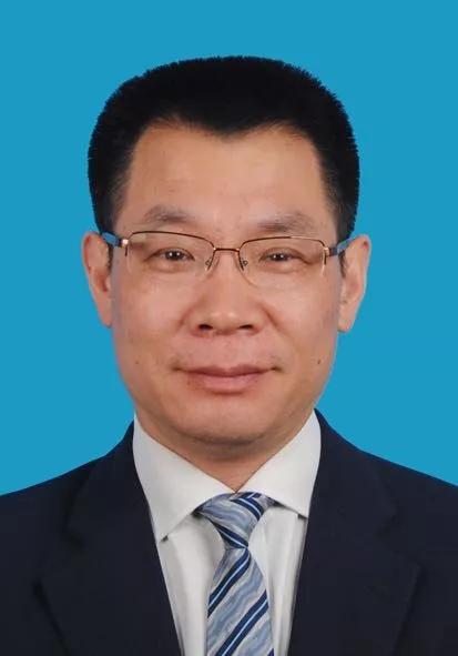 2024新奧正版資料免費(fèi)獲取指南，2024新奧正版資料免費(fèi)獲取攻略