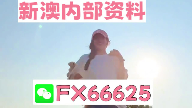 揭秘彩票奧秘，探索精準一肖特77777與88888的奧秘，揭秘彩票神秘面紗，探尋精準生肖特碼77777與88888奧秘