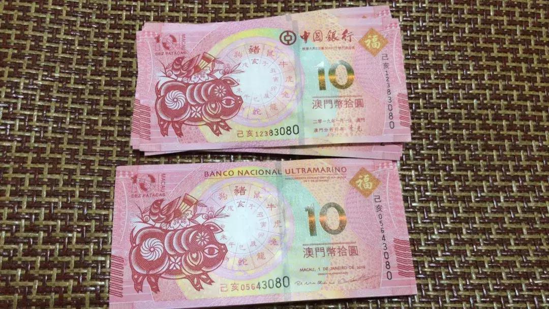新澳門生肖走勢(shì)圖，深度解析與預(yù)測(cè)，澳門生肖走勢(shì)圖深度解析及預(yù)測(cè)報(bào)告