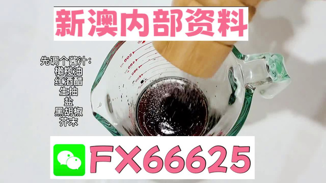 2025年新澳正版免費料，全面解析與獨家資訊，獨家解析，揭秘新澳正版免費料獨家資訊至2025年