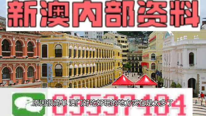 澳門精準(zhǔn)資料大全免費(fèi)，探索與解析，澳門精準(zhǔn)資料大全免費(fèi)解析探索