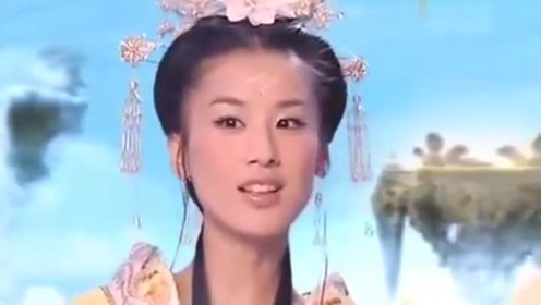 曾道道人資料免費(fèi)大全，深度探索與解析，曾道道人資料深度解析與免費(fèi)大全探索