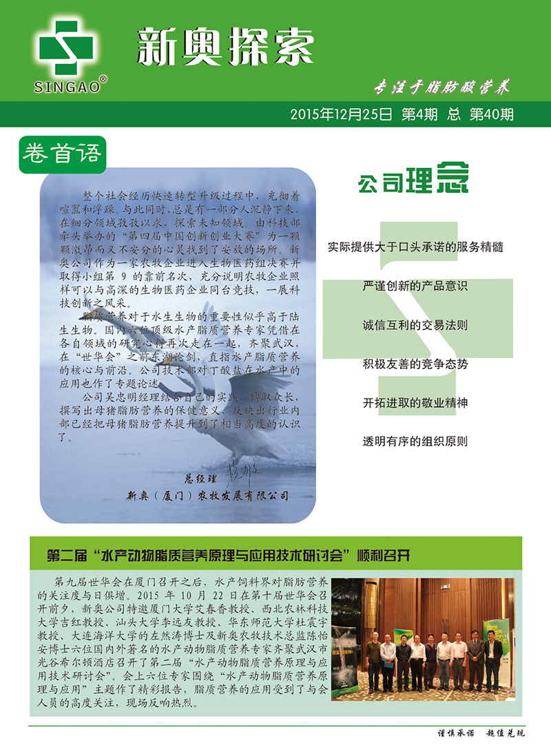 2025新澳正版資料查詢(xún)指南，2025新澳正版資料查詢(xún)手冊(cè)
