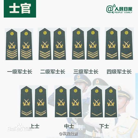 全球各國軍士長軍銜對照表及其重要性，全球各國軍士長軍銜對照表，揭示其重要性
