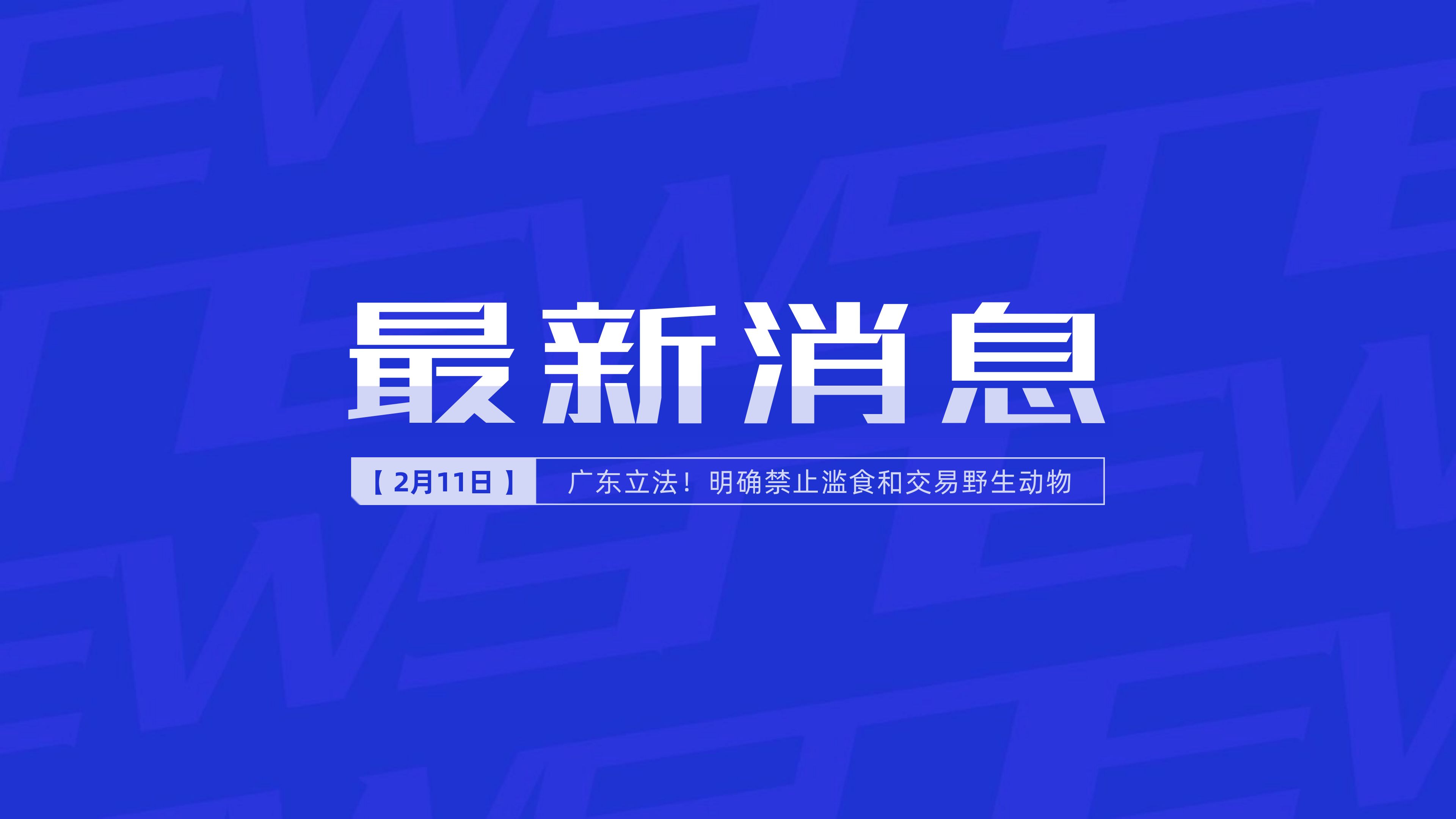 新聞最新新聞，掌握時(shí)事熱點(diǎn)，洞悉世界動(dòng)態(tài)，時(shí)事熱點(diǎn)速遞，掌握全球最新動(dòng)態(tài)新聞