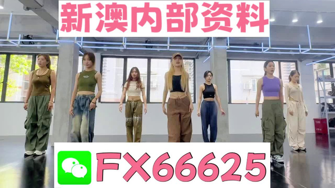 新澳持碼會資料詳解，新澳持碼會資料全面解析