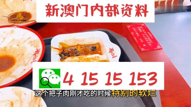 澳門王中王六碼新澳門，探索與解析，澳門王中王六碼新澳門，深度探索與解析