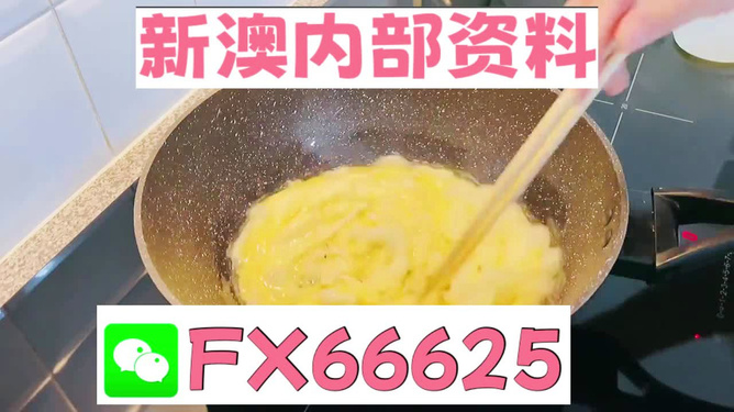 澳門九點半9點半網站——探索與體驗，澳門九點半網站，探索與體驗之旅