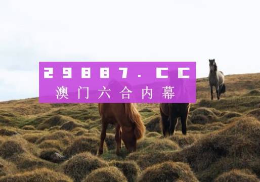 澳門今晚9點(diǎn)35開獎結(jié)果揭曉，揭秘彩票背后的秘密，澳門今晚9點(diǎn)35開獎結(jié)果揭曉，彩票背后的秘密大揭秘