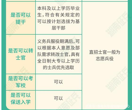 士官直招與義務(wù)兵的區(qū)別，深入了解軍隊(duì)招募制度，直招士官與義務(wù)兵招募制度深度解析，軍隊(duì)招募制度詳解