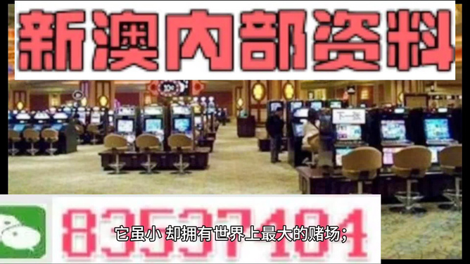 新澳門最精準(zhǔn)——探索澳門的精準(zhǔn)旅游體驗，澳門精準(zhǔn)旅游探索，深度體驗澳門的獨特魅力