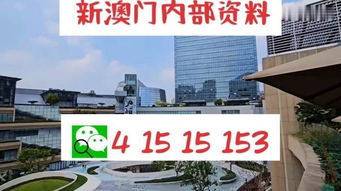 新澳門單雙，探索數(shù)字世界的奧秘與魅力，澳門數(shù)字世界的奧秘與魅力探索，單雙數(shù)的奇幻之旅