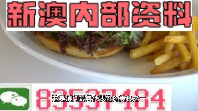 新澳2024生肖最新資料解析與預(yù)測，新澳2024生肖解析與預(yù)測報告