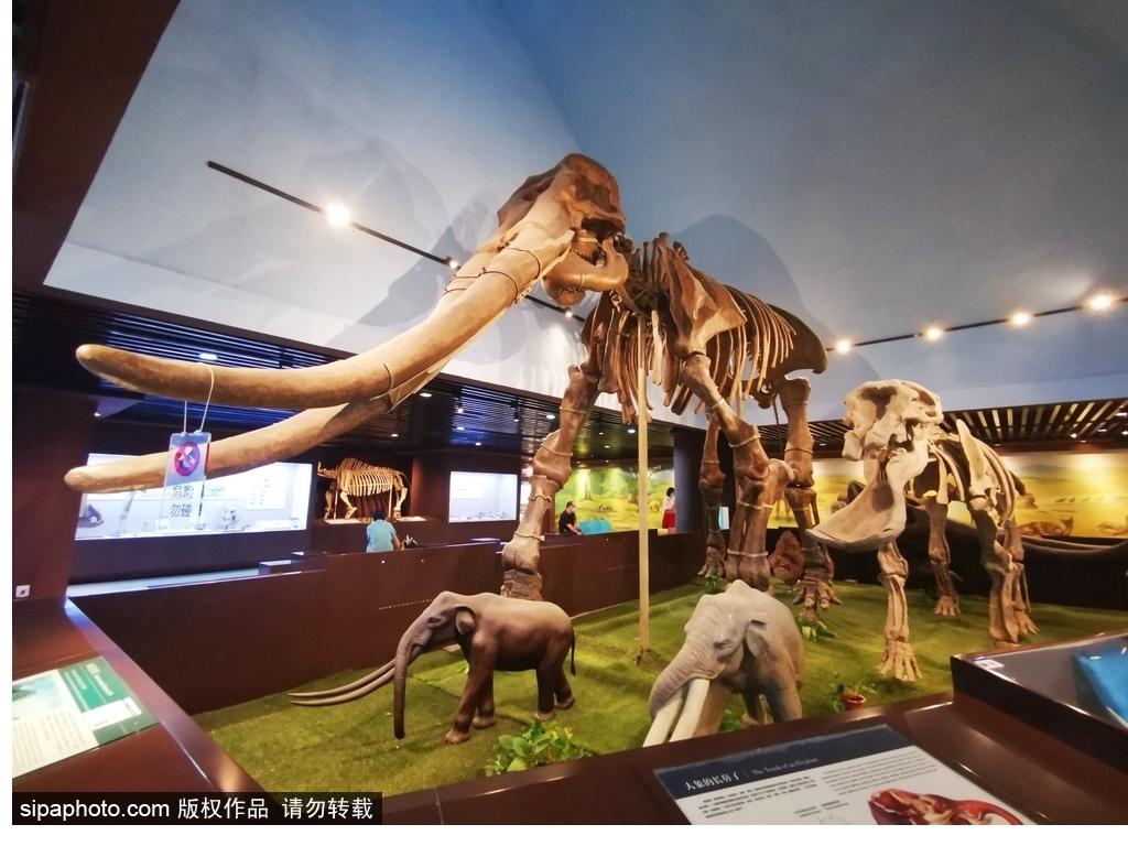 北京必去的十大博物館——探尋千年文化的精華之旅，北京必游十大博物館，千年文化精華之旅探尋記