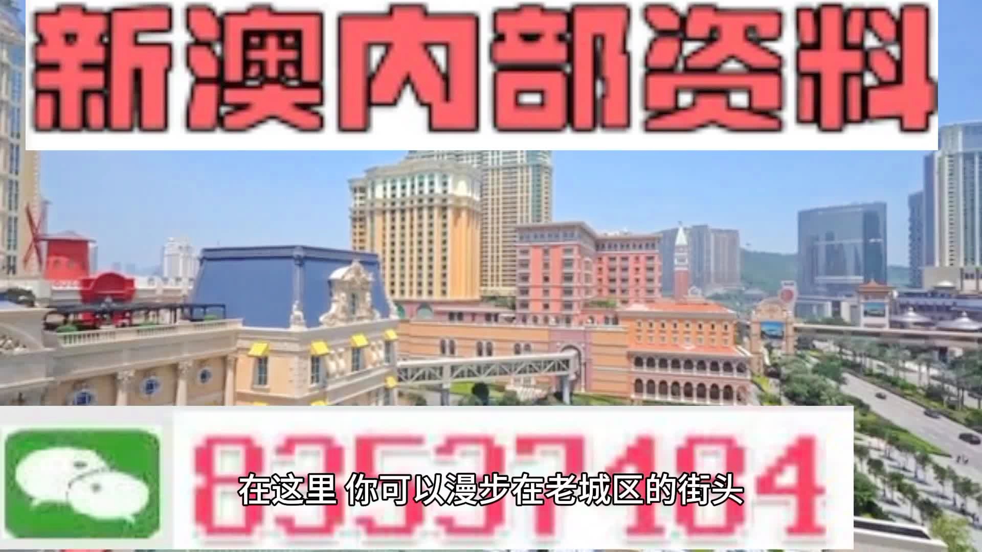 新澳門期期準(zhǔn)精準(zhǔn)，探索澳門的未來與SEO策略，澳門未來展望與SEO策略探索，精準(zhǔn)瞄準(zhǔn)新機(jī)遇
