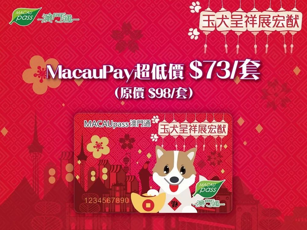澳門生肖卡，探索未來(lái)的趨勢(shì)與機(jī)遇（2025年展望），澳門生肖卡，未來(lái)趨勢(shì)與機(jī)遇展望（2025年）