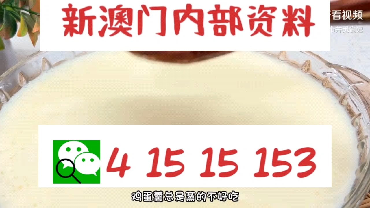 最快新澳門開獎直播，實時掌握開獎信息，體驗極速互動，新澳門實時開獎直播，極速掌握開獎信息，互動體驗盡在指尖