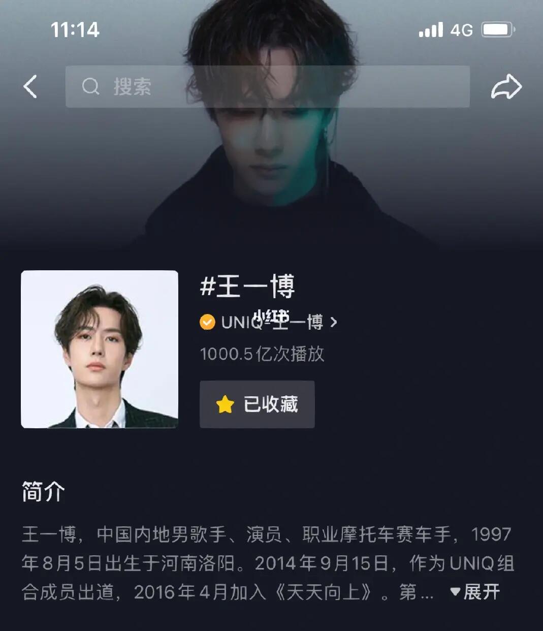 王中王一肖內(nèi)部資料詳解，王中王一肖內(nèi)部資料深度解析