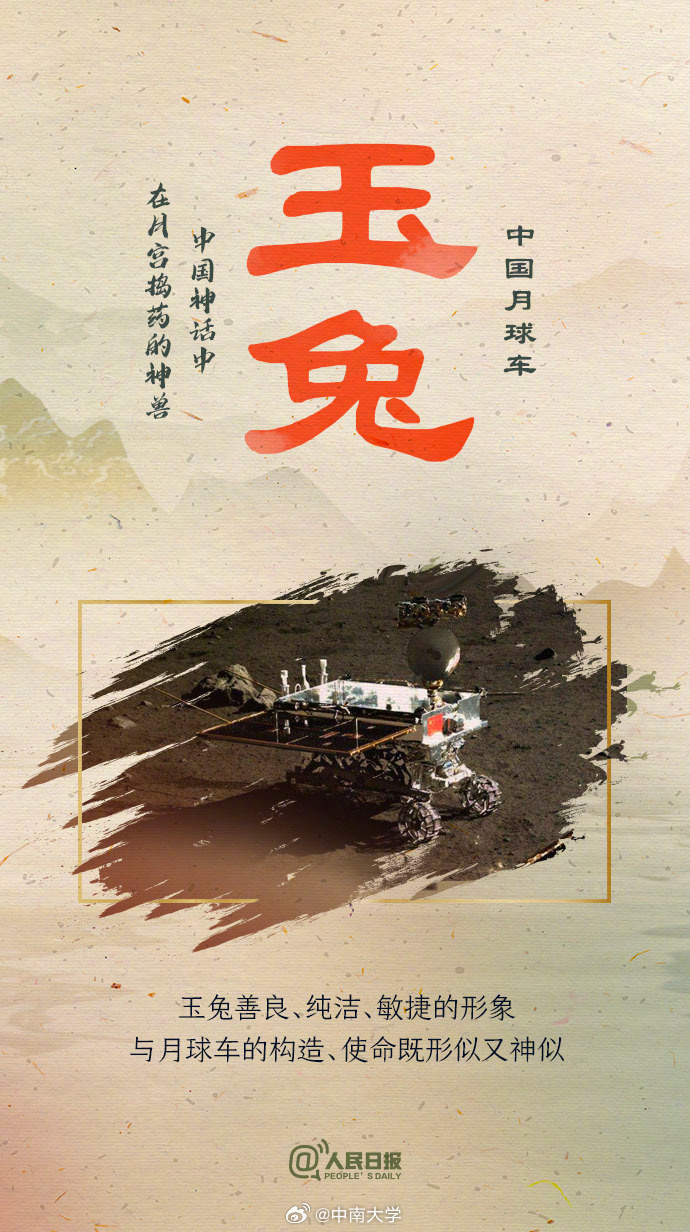 揭秘王中王平特一肖免會(huì)公開的奧秘，王中王平特一肖免公開揭秘奧秘