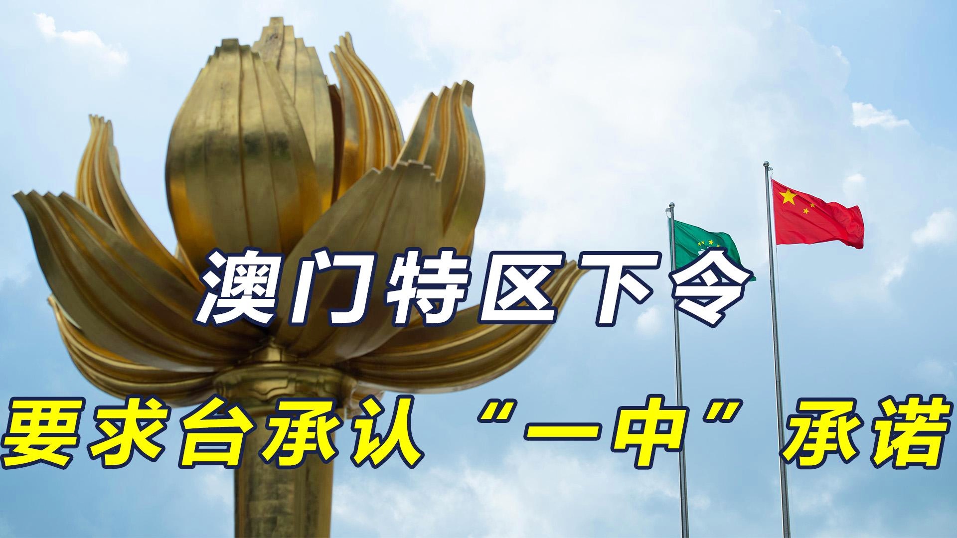 新澳門(mén)一碼一肖一特一中準(zhǔn)選今晚之秘與博彩文化深度解析，澳門(mén)博彩文化深度解析，今晚一碼一肖一特一中準(zhǔn)選的秘密