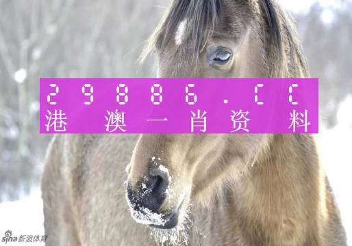 澳門一肖一碼背后的故事，一個(gè)關(guān)于精準(zhǔn)預(yù)測(cè)與傳奇的揭秘，澳門一肖一碼傳奇背后的精準(zhǔn)預(yù)測(cè)與揭秘之旅