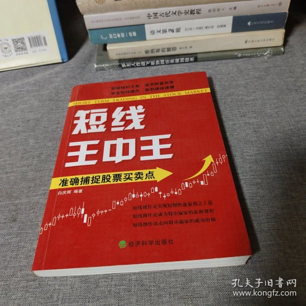 王中王平特一肖中的奧秘與探索，王中王平特一肖的奧秘與探索之旅