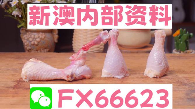 澳門一碼中精準一碼免費中特論壇，探索精準預測的魅力與優(yōu)勢，澳門一碼精準預測探索論壇，優(yōu)勢與魅力展現(xiàn)