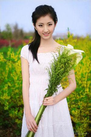 新澳門生肖走勢(shì)圖精準(zhǔn)版，解讀與SEO策略，新澳門生肖走勢(shì)圖精準(zhǔn)解讀與SEO策略揭秘