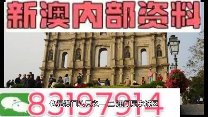 今晚澳門買什么最好？全方位解讀帶你走向勝利之路，澳門今晚買什么最佳？全方位指南引領(lǐng)你走向勝利之路