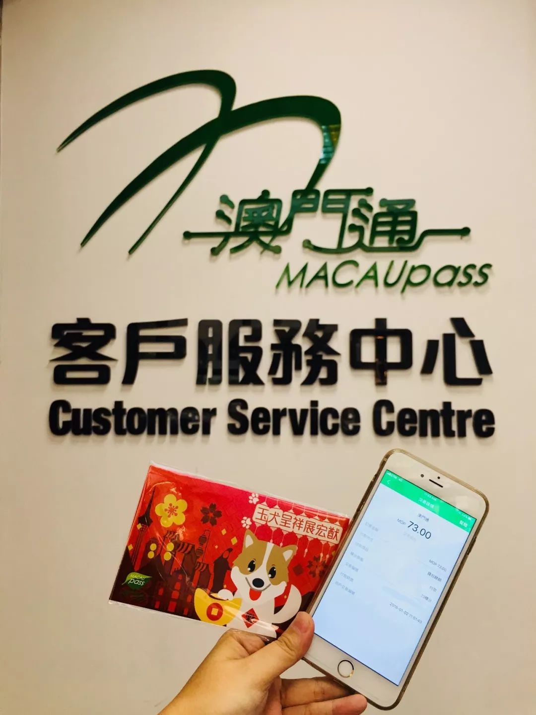 澳門正版資料大全資料生肖卡，探索與解析，澳門正版資料大全生肖卡解析與探索