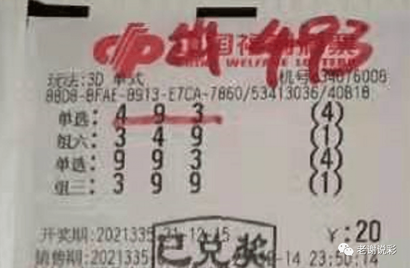 新奧門彩天天開獎(jiǎng)資料一網(wǎng)羅萬象，揭秘彩票奧秘，揭秘彩票奧秘，新奧門彩天天開獎(jiǎng)資料一網(wǎng)羅萬象