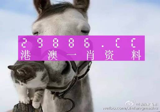 揭秘劉伯溫四肖選一碼的意思——探尋背后的故事與真相，揭秘劉伯溫四肖選一碼背后的真相與故事