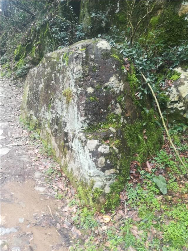 揭秘四不像劉伯溫一肖圖——探尋背后的神秘故事與SEO奧秘，揭秘四不像劉伯溫一肖圖背后的神秘故事與SEO奧秘探索