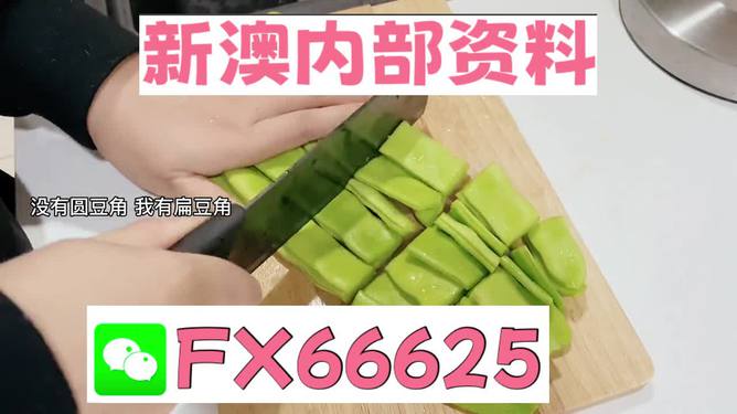 新澳精選資料免費(fèi)提供，探索優(yōu)質(zhì)資源的海洋，新澳精選資料免費(fèi)探索，優(yōu)質(zhì)資源海洋的開啟