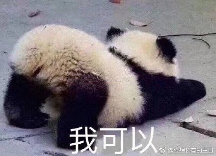 澳門四不像正版四不像網，探索真實與虛幻的交融之地，澳門四不像正版探索，真實與虛幻的交融世界