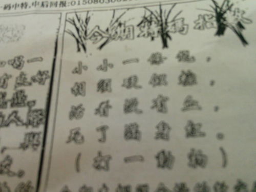 揭秘劉伯溫四肖選一肖的神秘預(yù)測藝術(shù)，劉伯溫四肖選一肖的神秘預(yù)測藝術(shù)揭秘