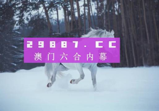 澳門風(fēng)采，探索142期澳門的獨(dú)特魅力，澳門風(fēng)采，探索第142期獨(dú)特魅力之旅