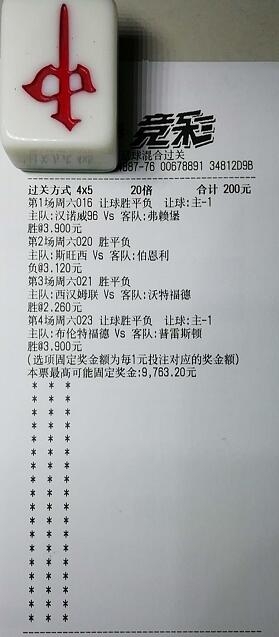 揭秘買一肖中獎(jiǎng)的賠率與風(fēng)險(xiǎn)，你真的準(zhǔn)備好了嗎？，揭秘買一肖中獎(jiǎng)背后的賠率與風(fēng)險(xiǎn)，你真的做好準(zhǔn)備了嗎？