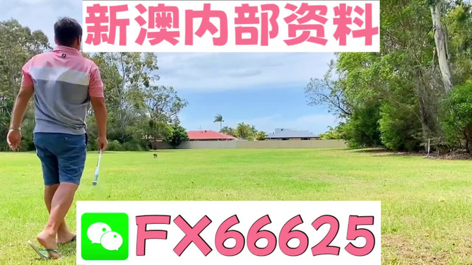 王中王兩肖一碼，揭秘背后的奧秘，王中王兩肖一碼揭秘，背后的秘密與奧秘