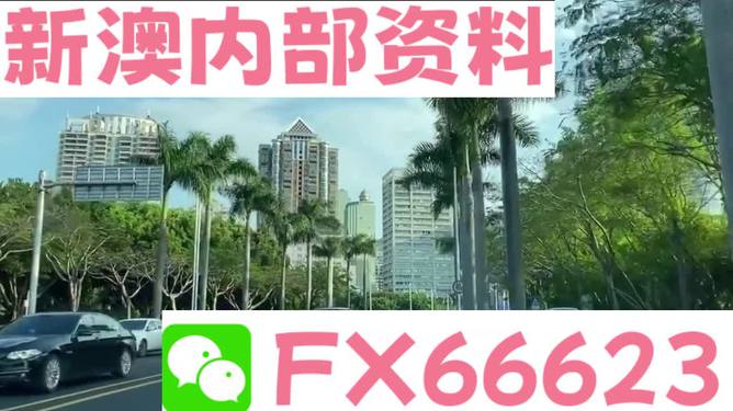 新澳精準(zhǔn)資料免費(fèi)提供，探索第221期的奧秘與價(jià)值，新澳精準(zhǔn)資料揭秘第221期奧秘與價(jià)值