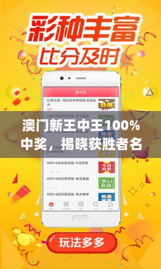 王中王藏寶閣猜一肖，揭秘背后的秘密與SEO策略，王中王藏寶閣猜一肖背后的秘密與SEO策略揭秘