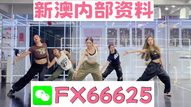 王中王內(nèi)部透肖一肖二碼，深度解析與探索，王中王內(nèi)部透肖一肖二碼深度解析與探索揭秘