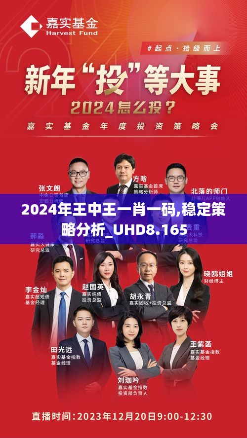 王中王一馬中一肖一馬，探尋背后的故事與奧秘，探尋王中王一馬中一肖一馬背后的故事與奧秘