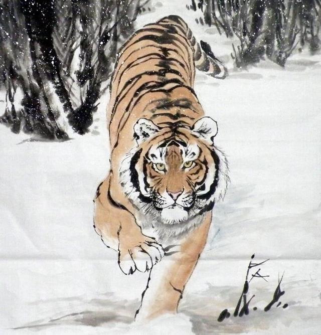 猛虎下山王中王，揭秘一生肖的神秘魅力，揭秘生肖之王——猛虎下山之神秘魅力