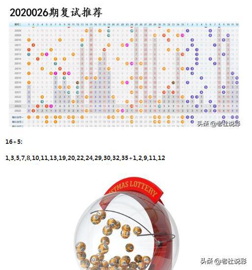 王中王026期指一生肖，深度解讀與SEO優(yōu)化策略，王中王026期生肖深度解讀與SEO優(yōu)化策略全解析