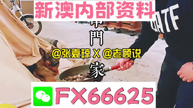 新澳門精準(zhǔn)資料大全，管家婆料解析與探索，澳門精準(zhǔn)資料大全，管家婆料解析與深度探索
