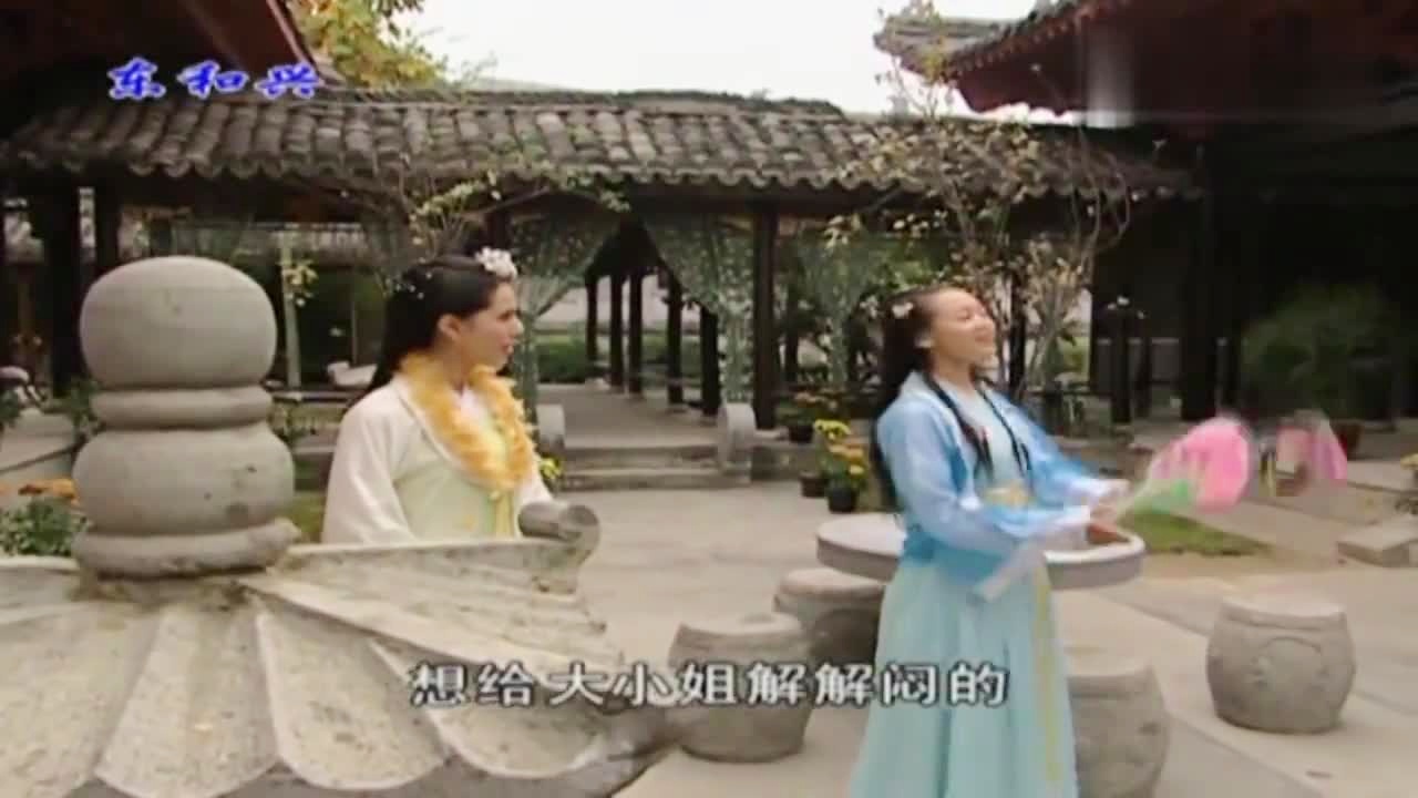 劉伯溫白小姐一肖期期準，神秘預測背后的真相，劉伯溫白小姐生肖預測揭秘，神秘預測背后的真相