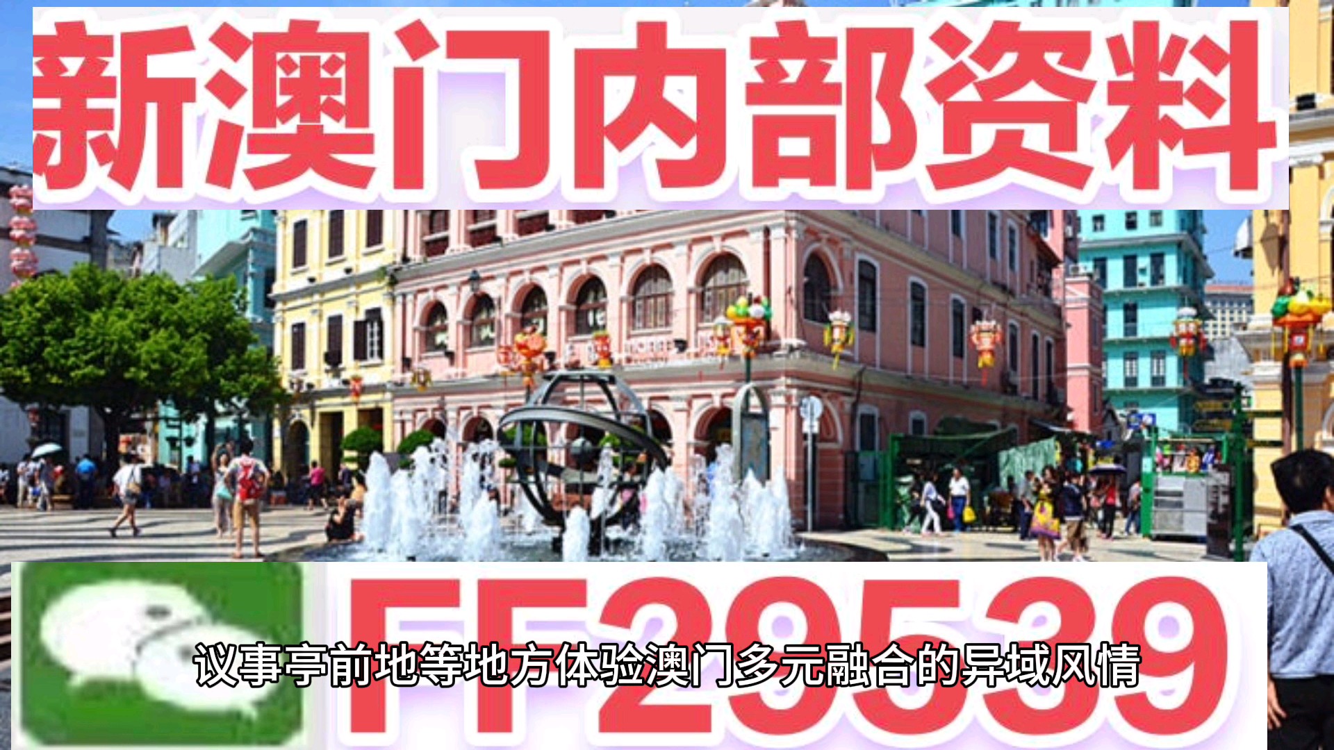 澳門今晚必開一肖一特，揭秘生肖彩票的魅力與策略，澳門生肖彩票揭秘，必開一肖一特的魅力與策略